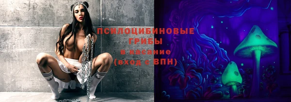 мяу мяу мука Беломорск