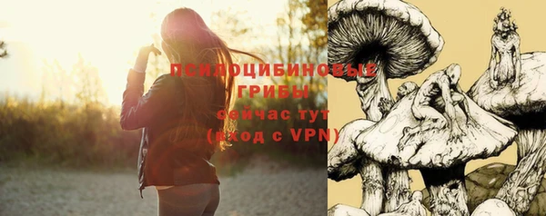 первитин Белокуриха