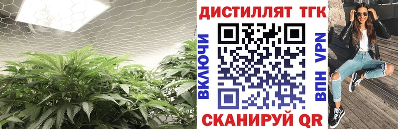Дистиллят ТГК Wax  продажа наркотиков  Вязьма 