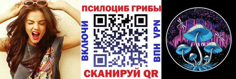 blacksprut ссылки  Вязьма  Галлюциногенные грибы MAGIC MUSHROOMS 